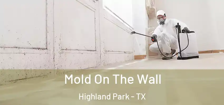  Mold On The Wall Highland Park - TX
