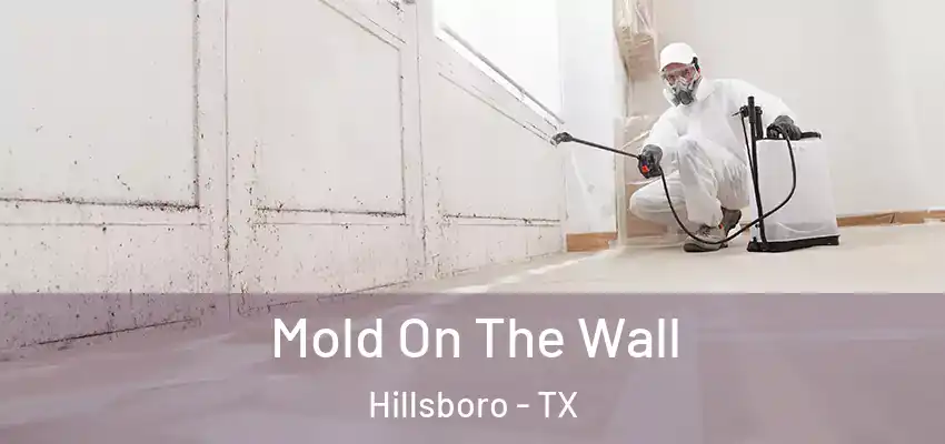 Mold On The Wall Hillsboro - TX