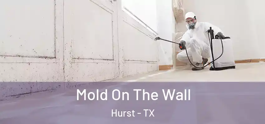  Mold On The Wall Hurst - TX