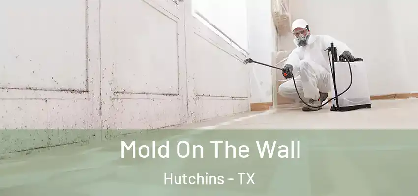 Mold On The Wall Hutchins - TX