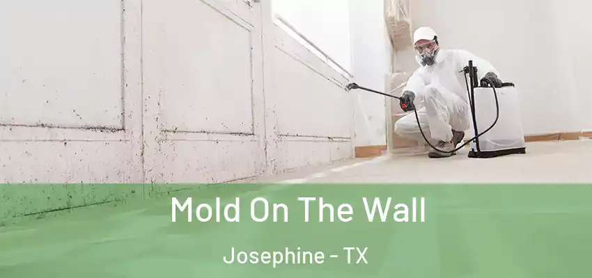 Mold On The Wall Josephine - TX