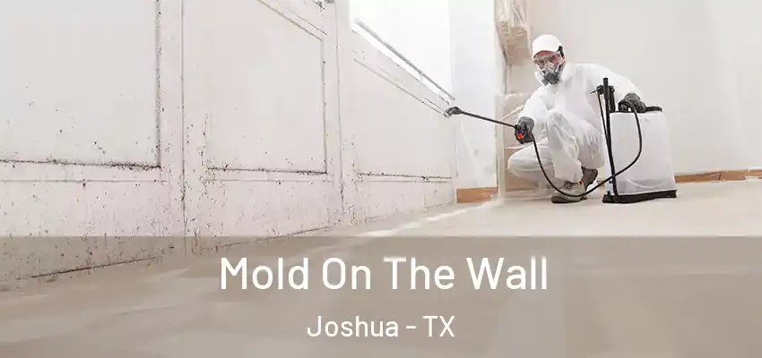  Mold On The Wall Joshua - TX