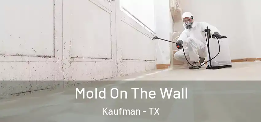 Mold On The Wall Kaufman - TX