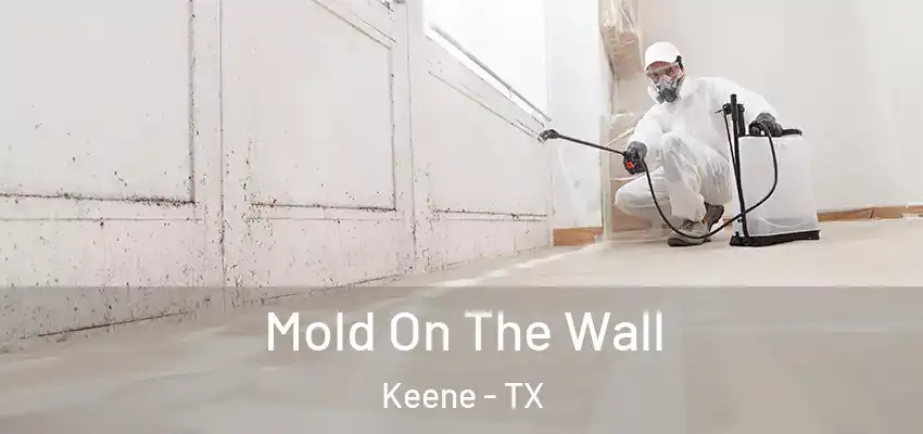  Mold On The Wall Keene - TX