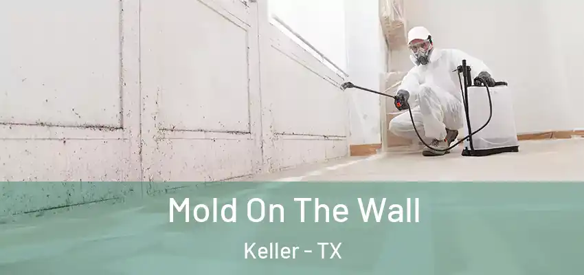  Mold On The Wall Keller - TX