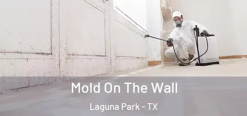  Mold On The Wall Laguna Park - TX
