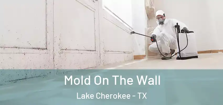  Mold On The Wall Lake Cherokee - TX
