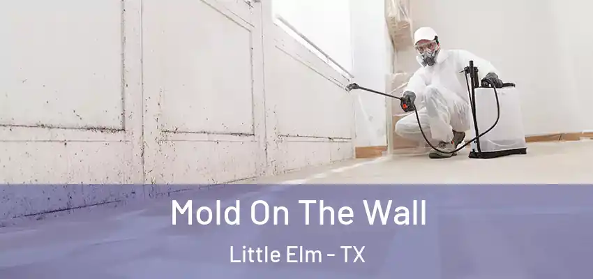  Mold On The Wall Little Elm - TX