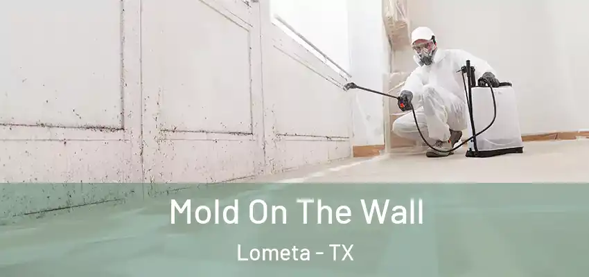 Mold On The Wall Lometa - TX