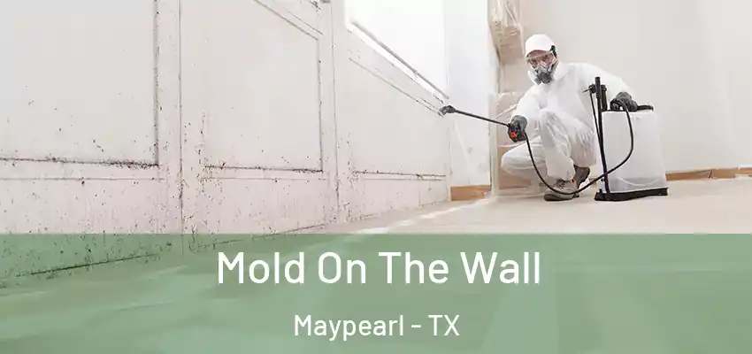  Mold On The Wall Maypearl - TX