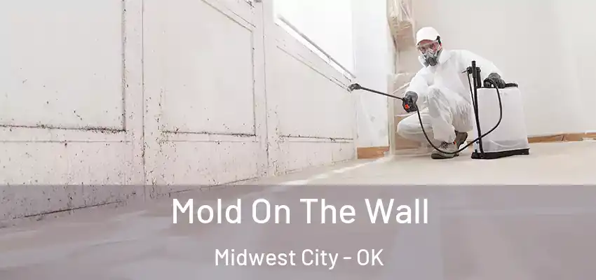  Mold On The Wall Midwest City - OK
