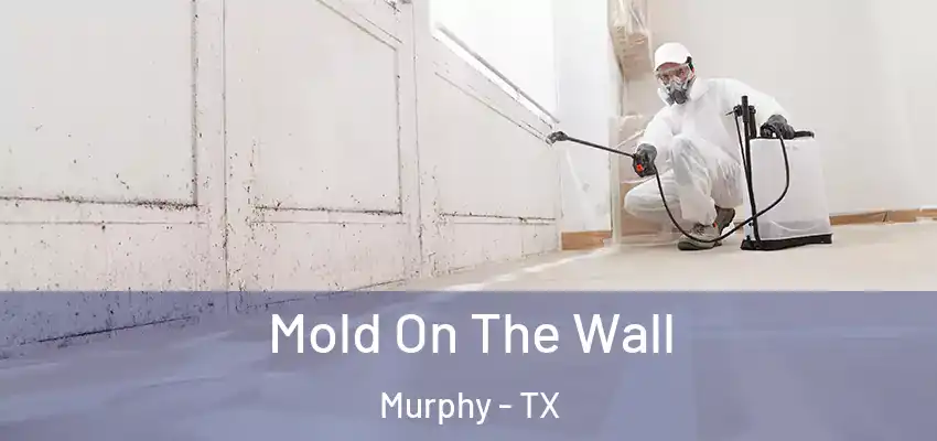 Mold On The Wall Murphy - TX