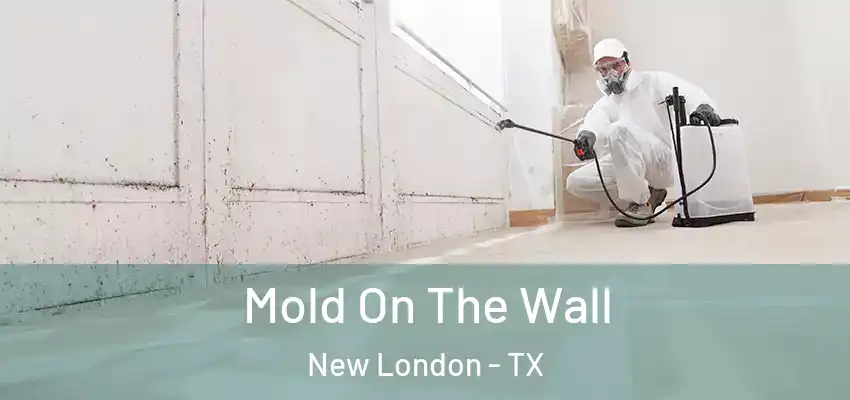  Mold On The Wall New London - TX