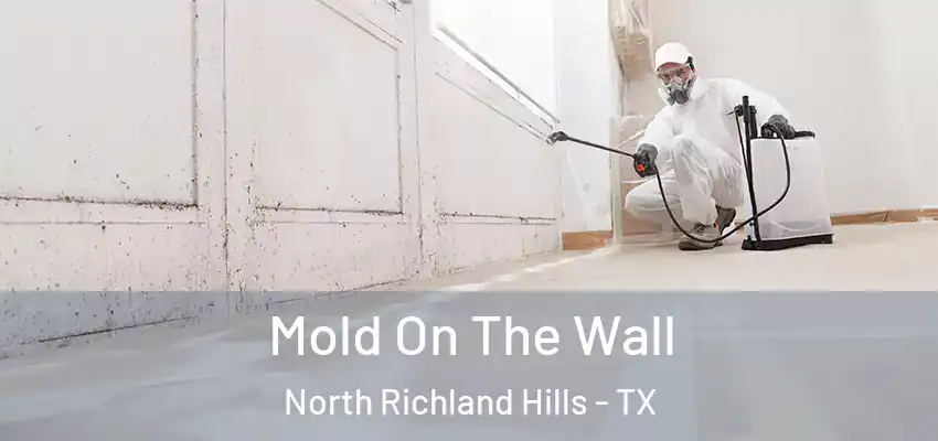 Mold On The Wall North Richland Hills - TX