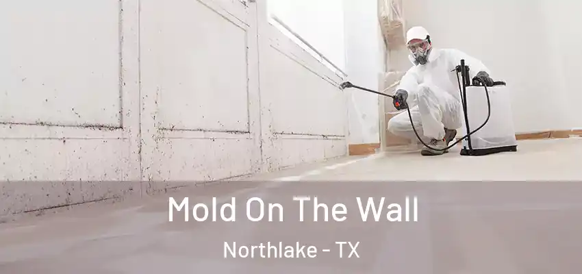 Mold On The Wall Northlake - TX