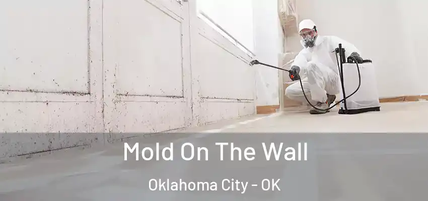 Mold On The Wall Oklahoma City - OK