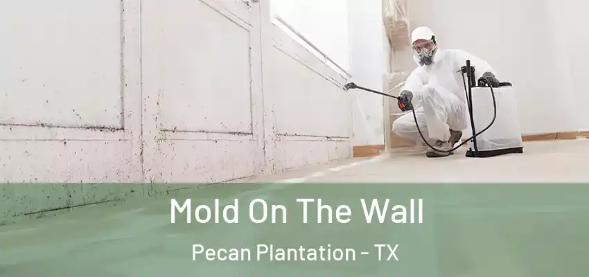 Mold On The Wall Pecan Plantation - TX