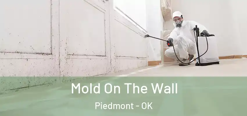  Mold On The Wall Piedmont - OK