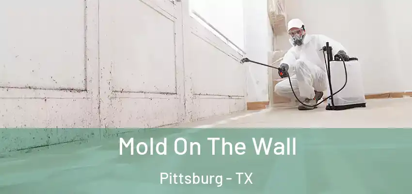  Mold On The Wall Pittsburg - TX