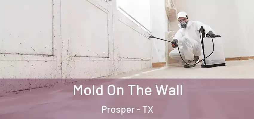  Mold On The Wall Prosper - TX