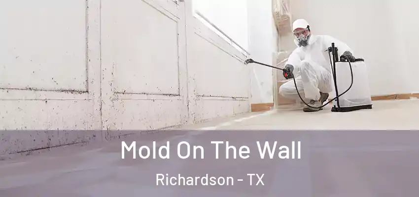 Mold On The Wall Richardson - TX