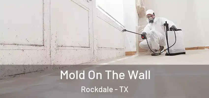 Mold On The Wall Rockdale - TX