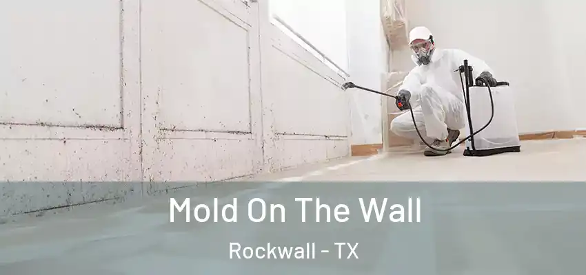 Mold On The Wall Rockwall - TX