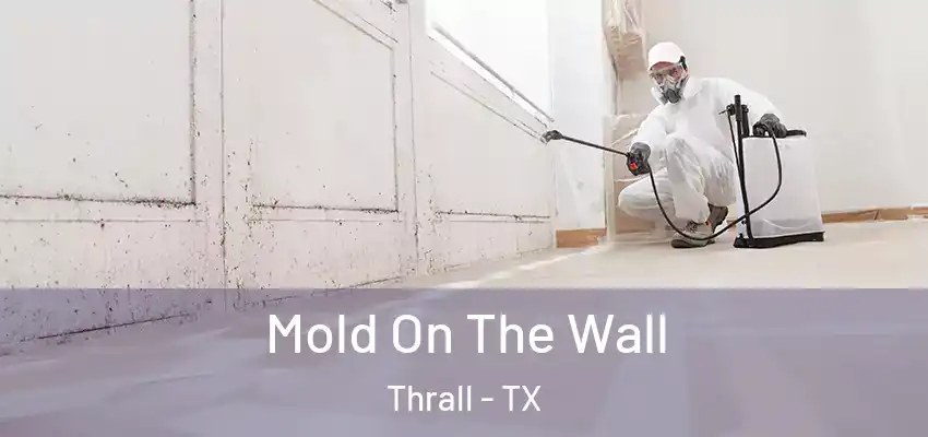 Mold On The Wall Thrall - TX