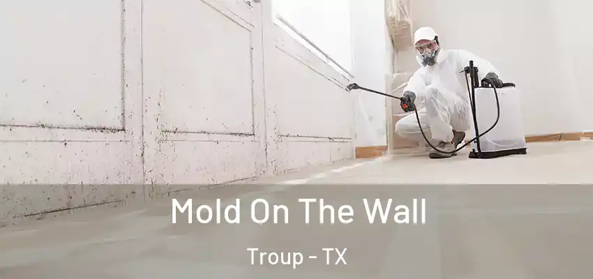  Mold On The Wall Troup - TX