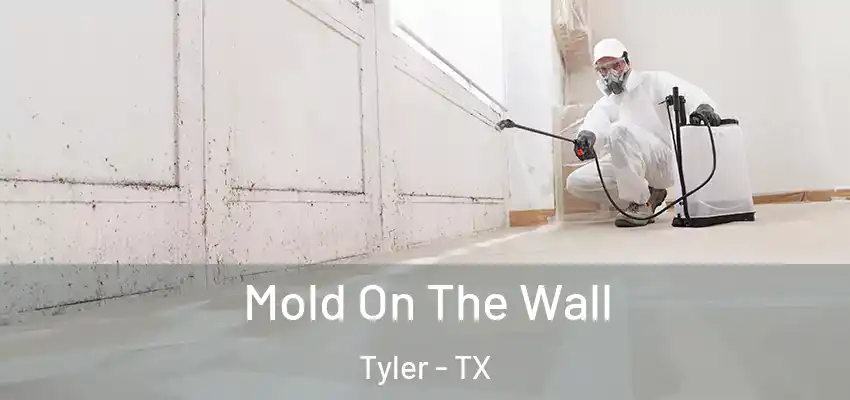  Mold On The Wall Tyler - TX