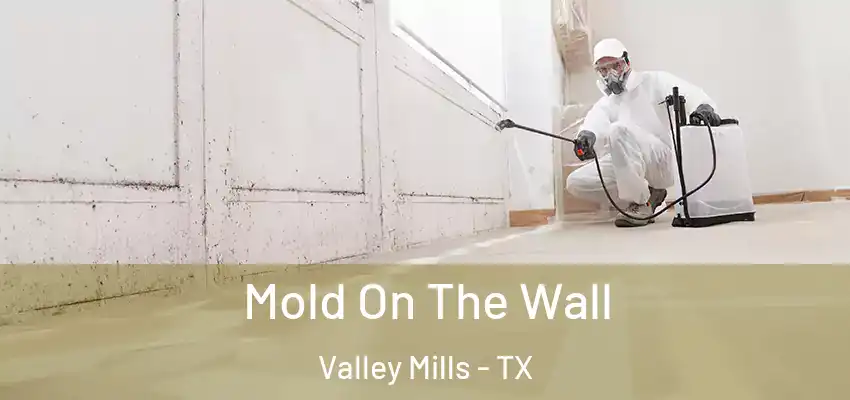  Mold On The Wall Valley Mills - TX