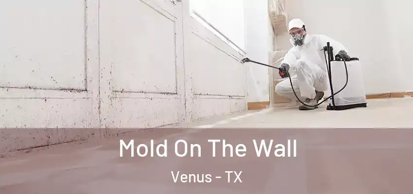  Mold On The Wall Venus - TX