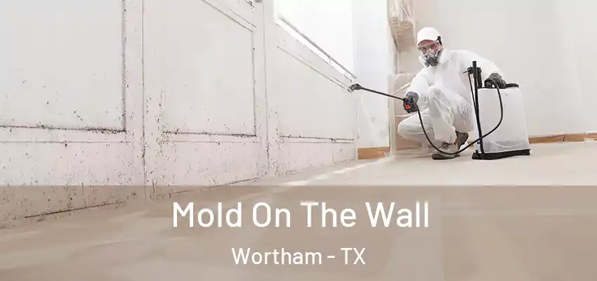 Mold On The Wall Wortham - TX