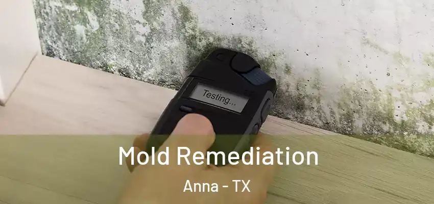  Mold Remediation Anna - TX