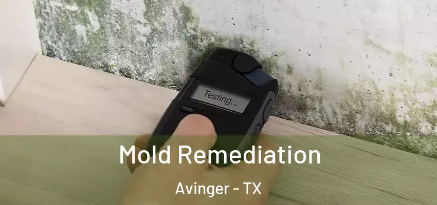  Mold Remediation Avinger - TX