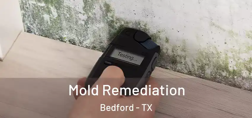  Mold Remediation Bedford - TX