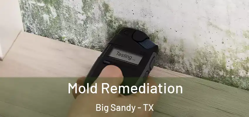  Mold Remediation Big Sandy - TX