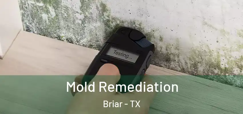 Mold Remediation Briar - TX