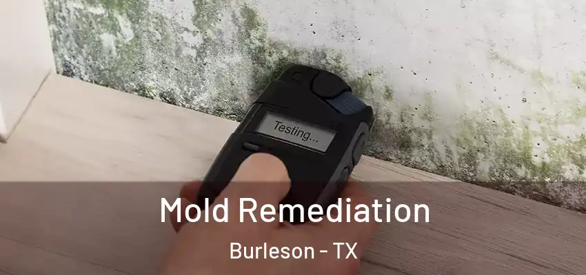  Mold Remediation Burleson - TX