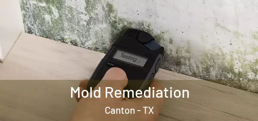 Mold Remediation Canton - TX