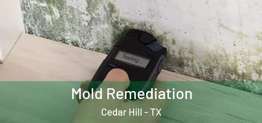  Mold Remediation Cedar Hill - TX