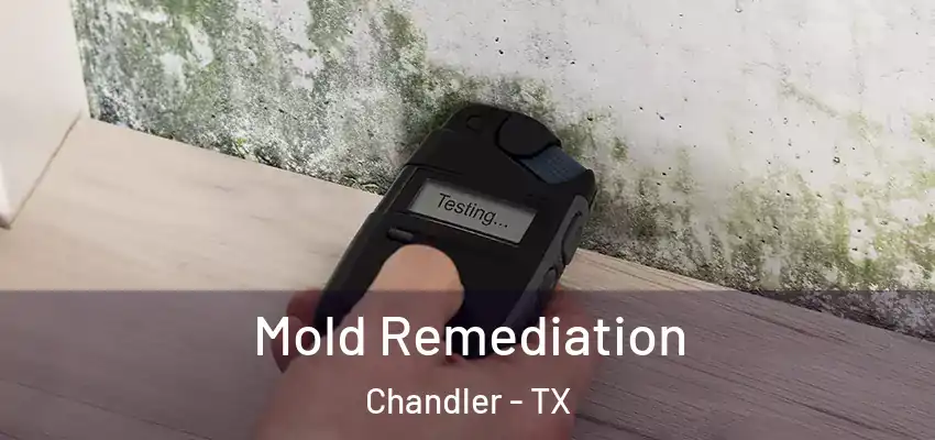 Mold Remediation Chandler - TX