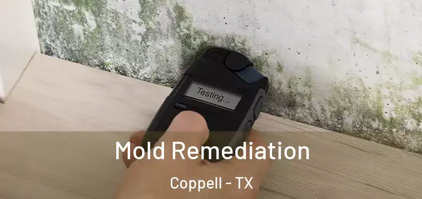  Mold Remediation Coppell - TX