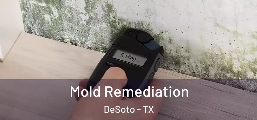  Mold Remediation DeSoto - TX