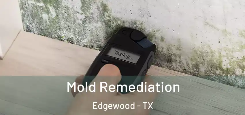 Mold Remediation Edgewood - TX