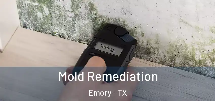  Mold Remediation Emory - TX