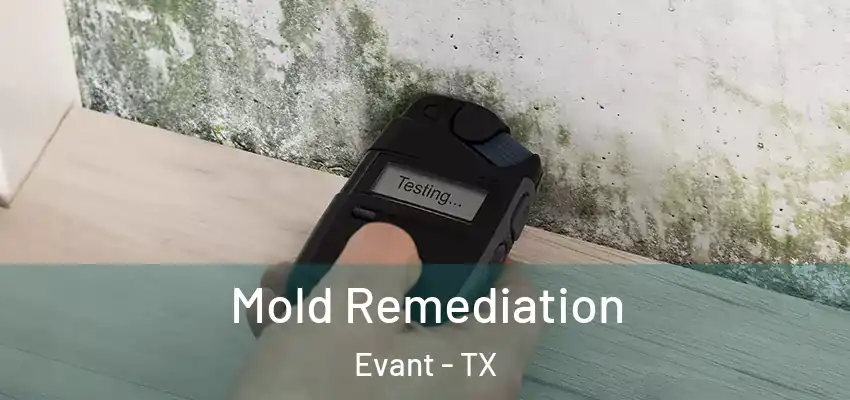  Mold Remediation Evant - TX