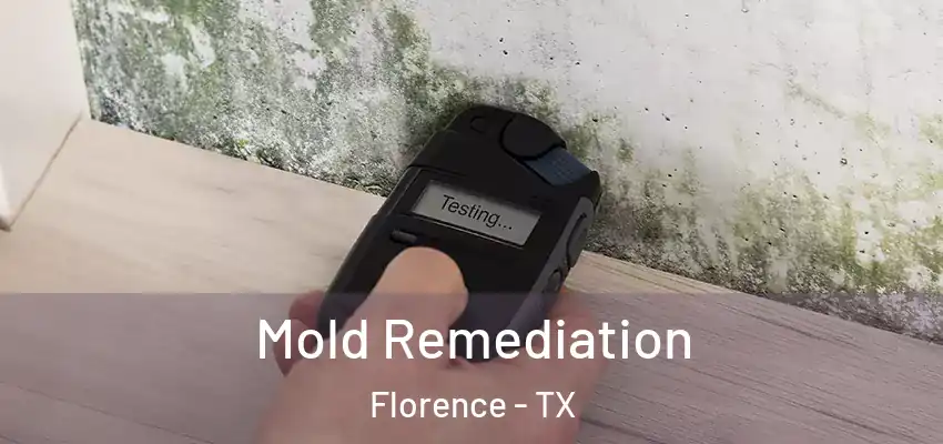  Mold Remediation Florence - TX