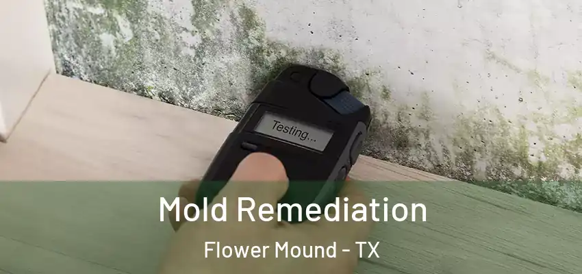 Mold Remediation Flower Mound - TX
