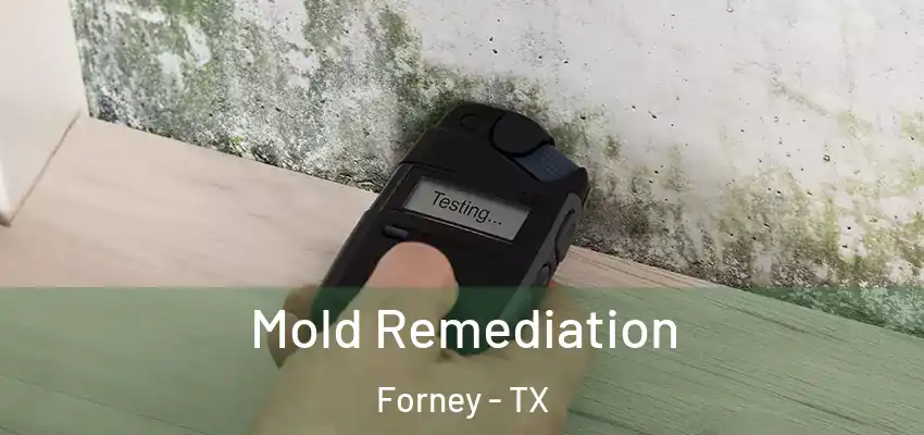  Mold Remediation Forney - TX